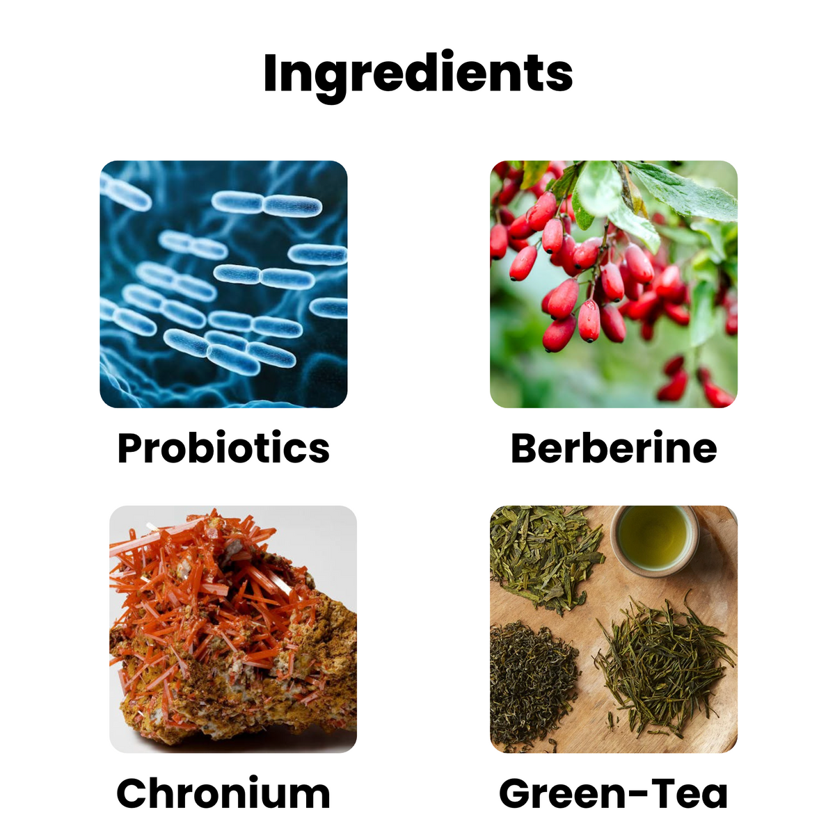 Probiotic & Metabolism Strips