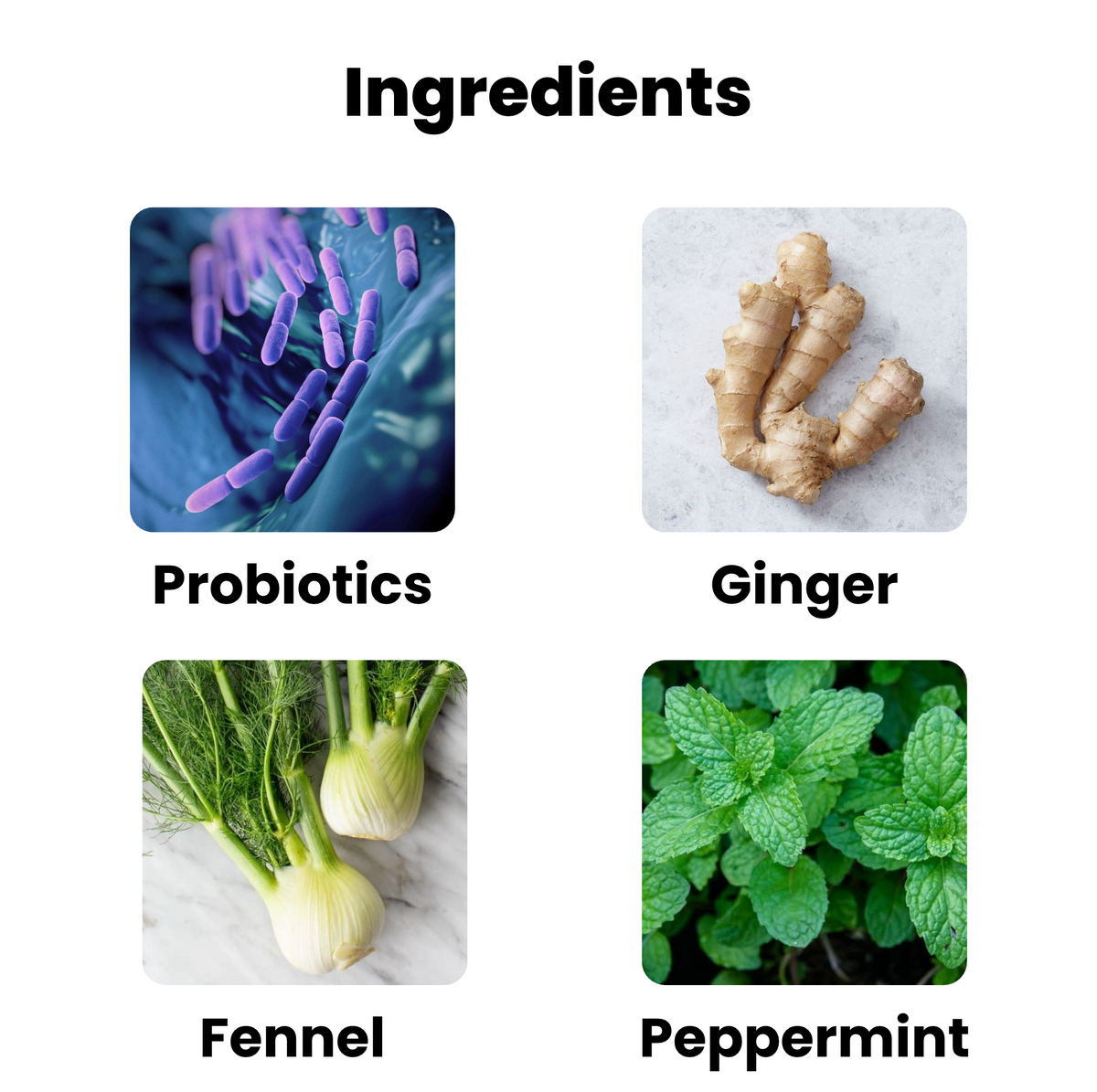 Digestive & Gut Health Strips